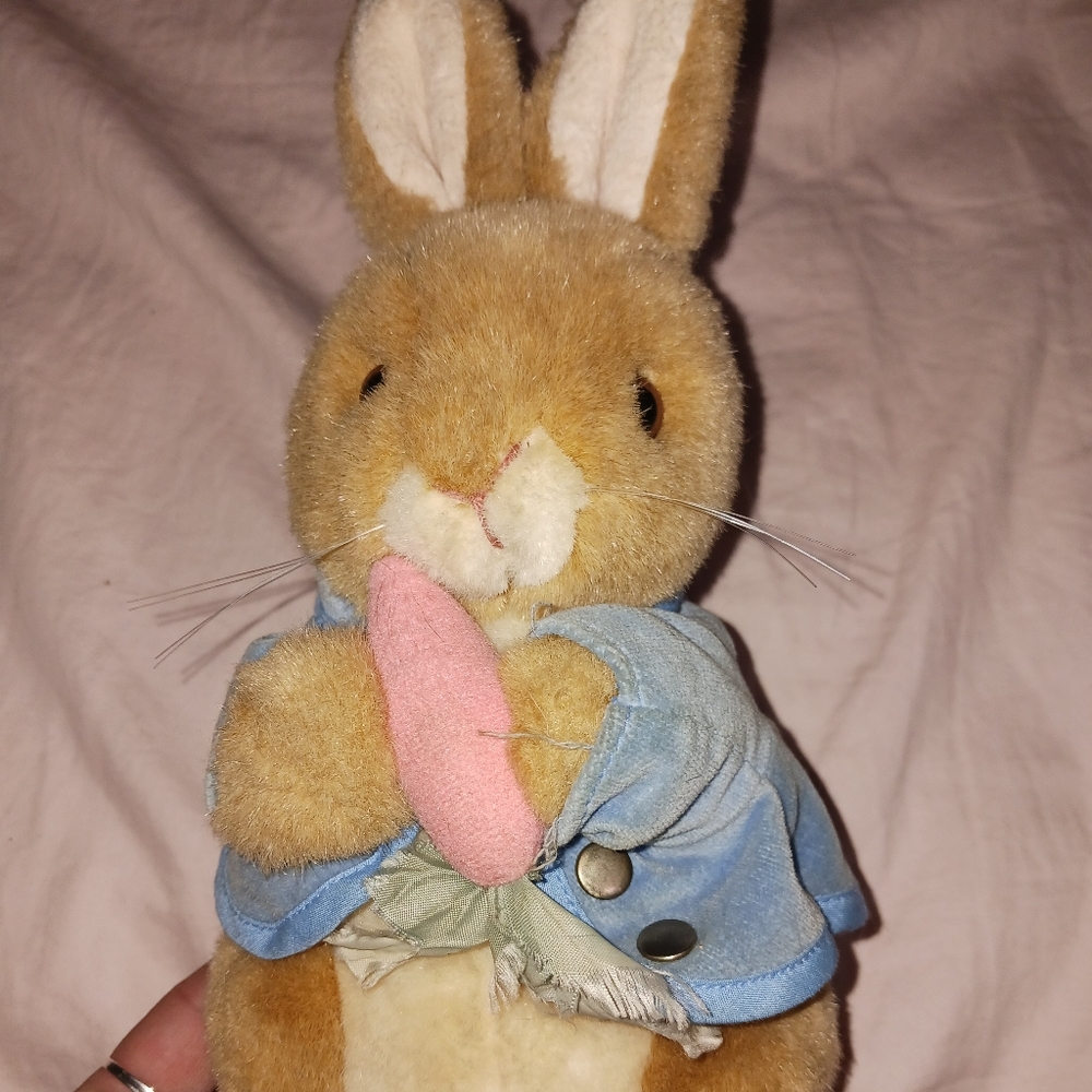 Peter Rabbit - Picture 1 of 4